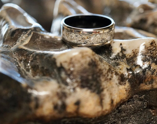 The Mastodon Ring